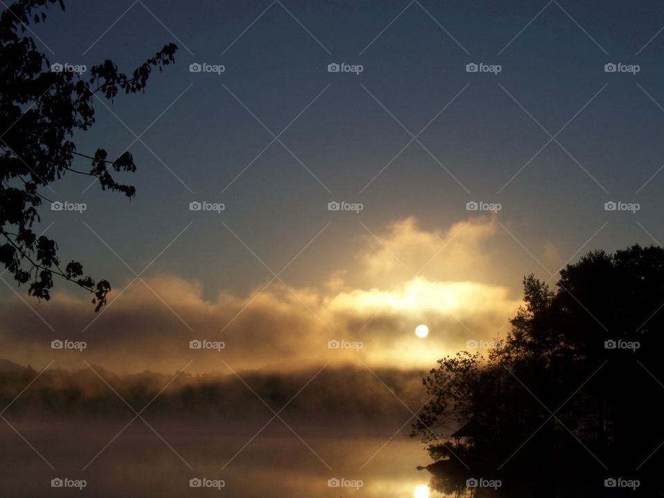 Silhouette of trees during fog