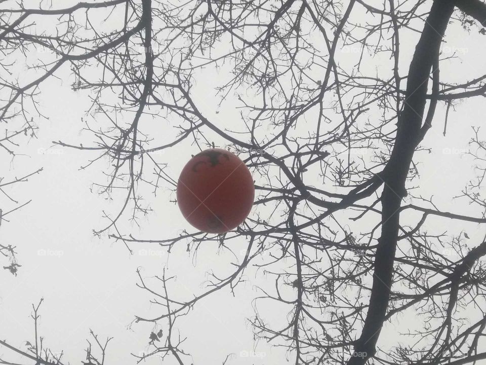 Halloweenballoon in tree