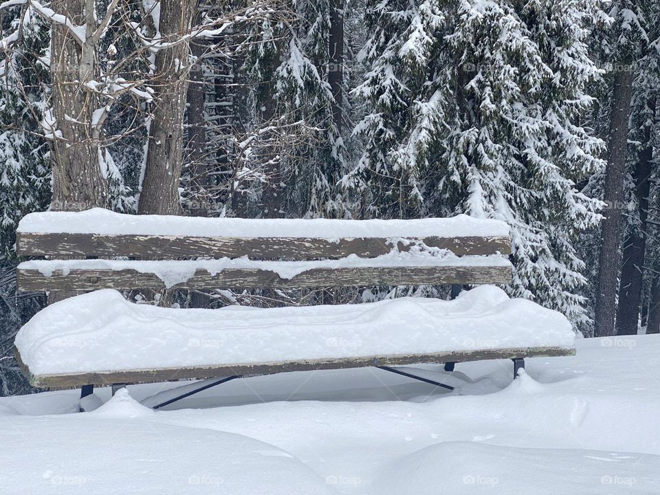 Bench covered with white snow 