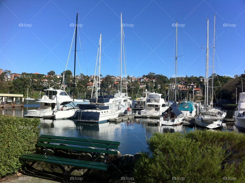 Mosman Bay