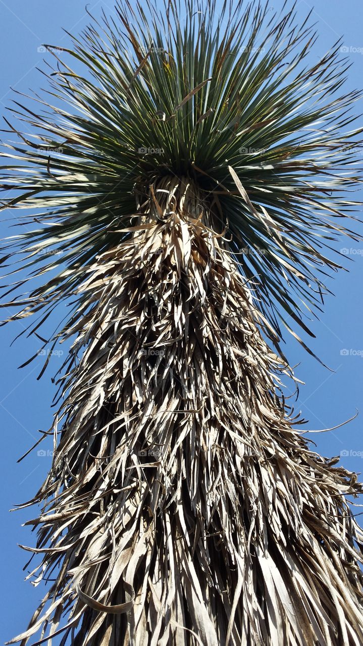 You're a tall drink of water