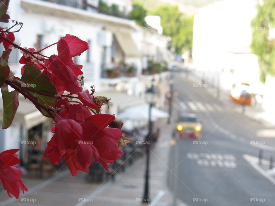 Mijas Spain