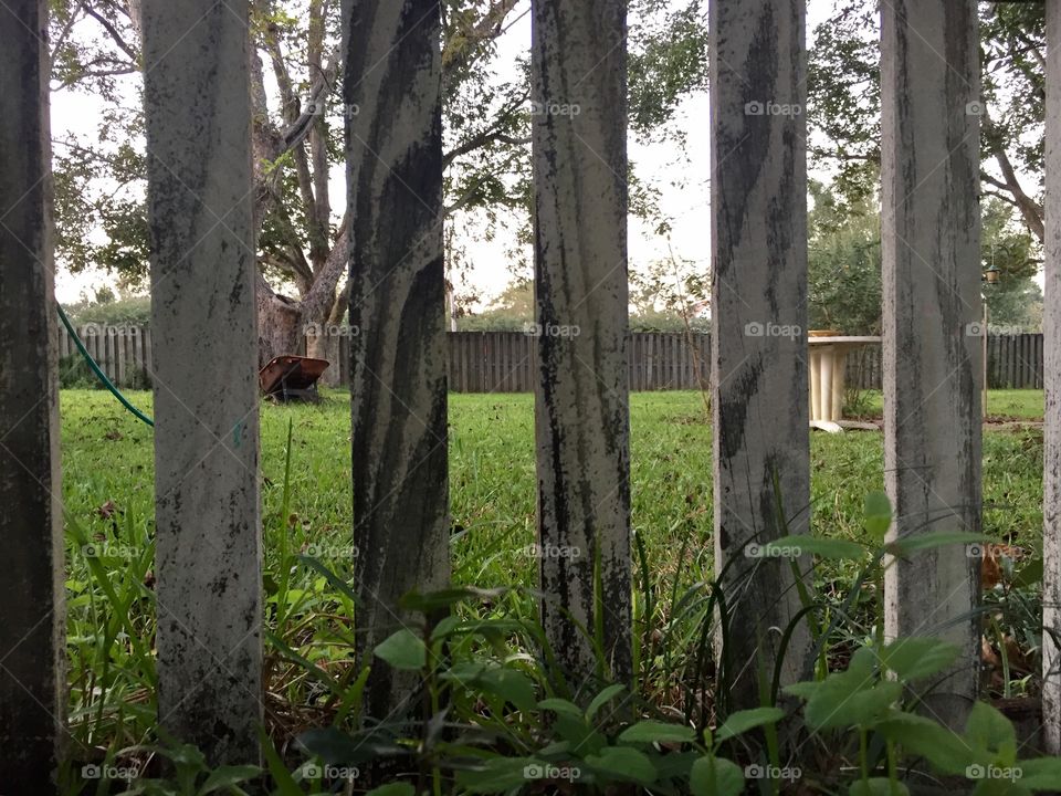 Looking through a Picketfence