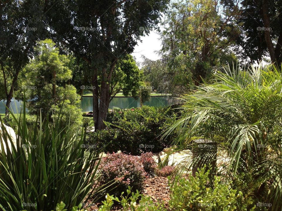 Peaceful tranquility