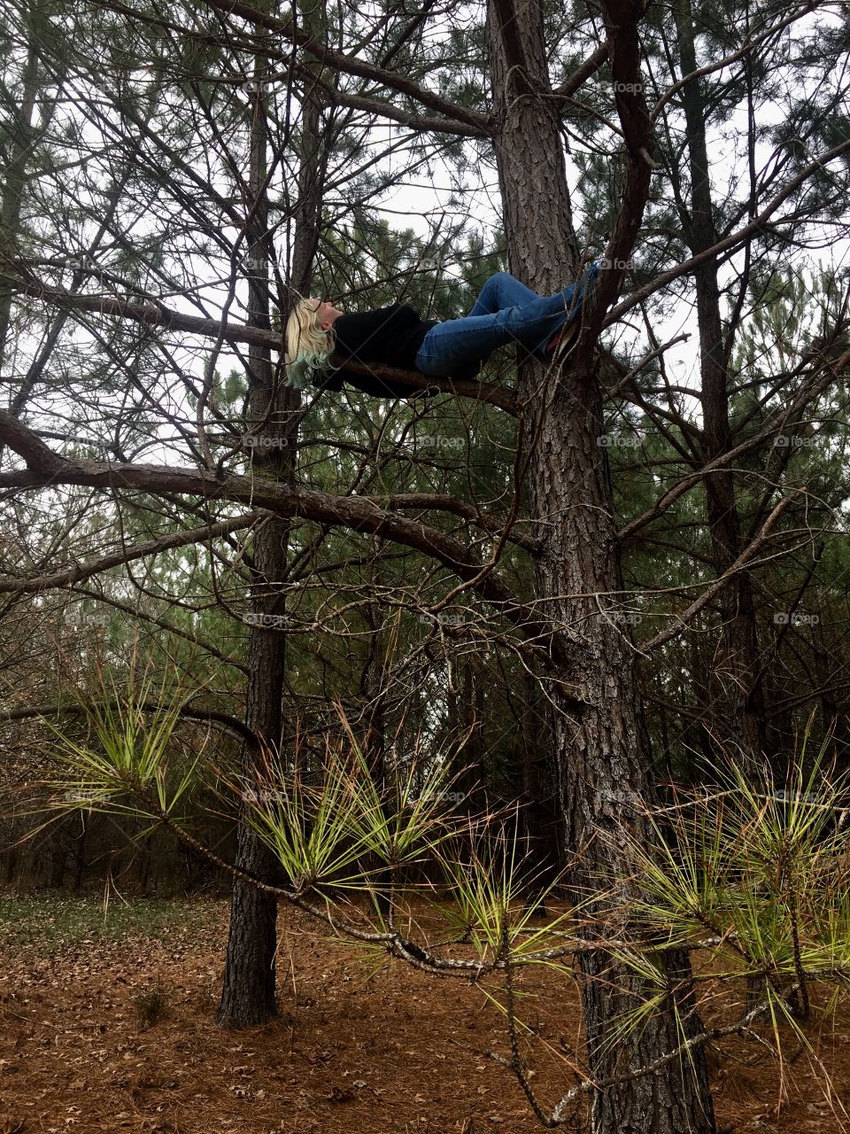 A niece up a tree