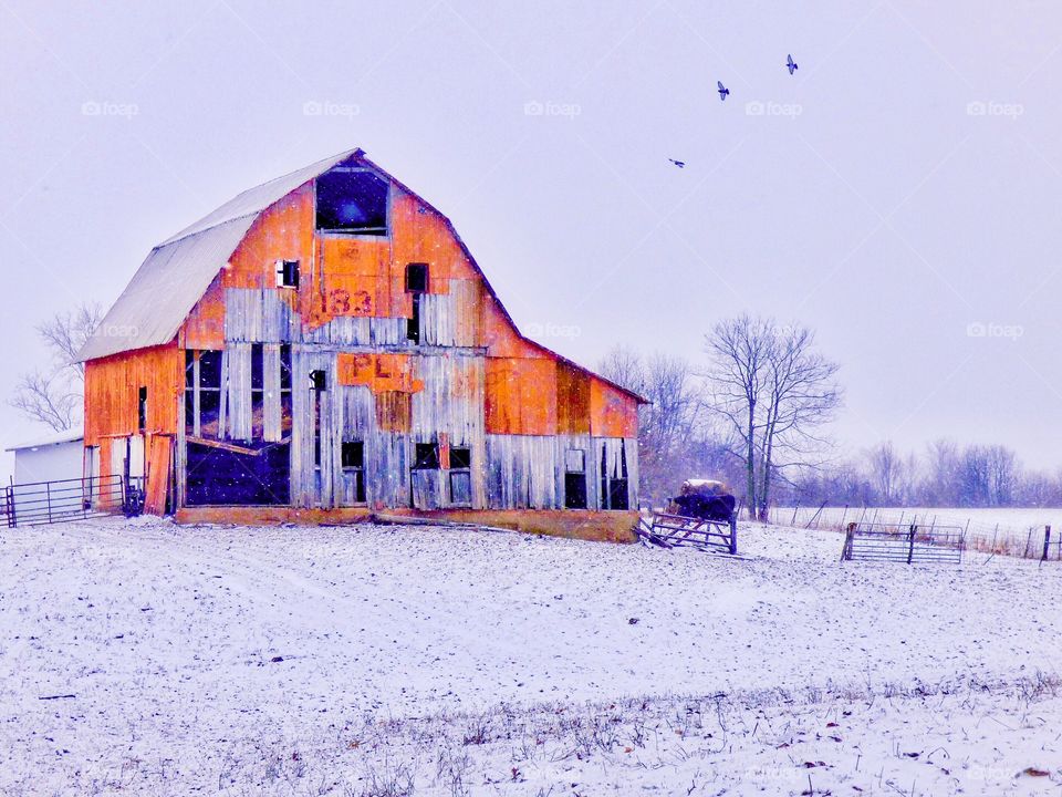Winter barn 