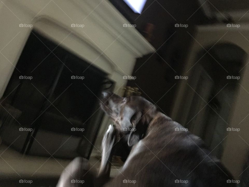 People, Room, One, Portrait, Mammal