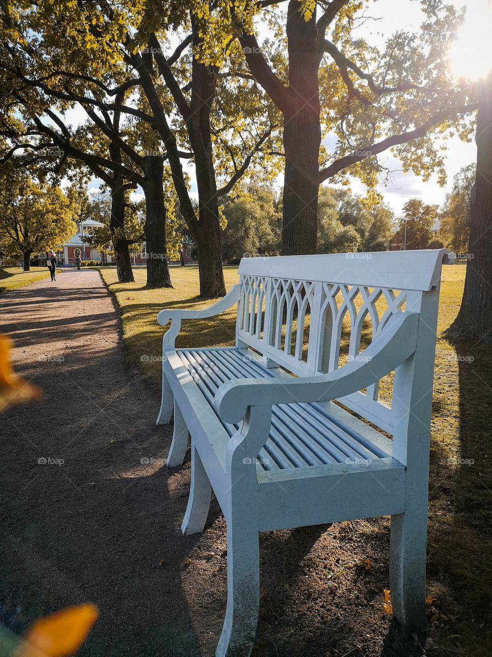 A beautiful bench on an empty alley in a beautiful park in early autumn on a sunny day.