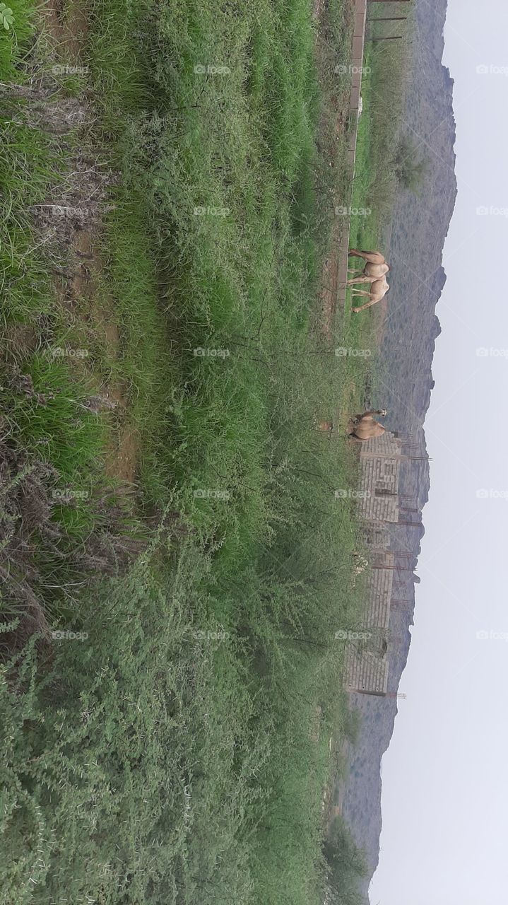 I am poor. I want your support. Stop it