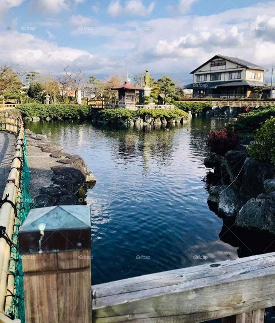 The Stillness of Water