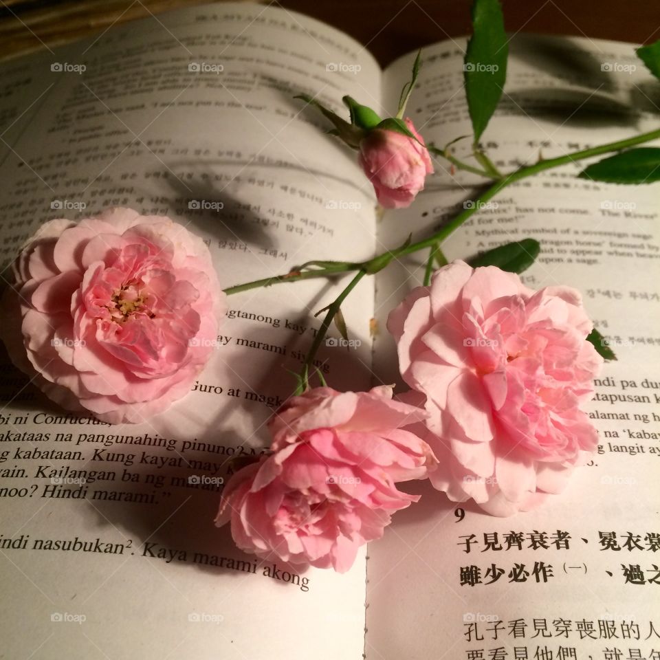 Books and flower