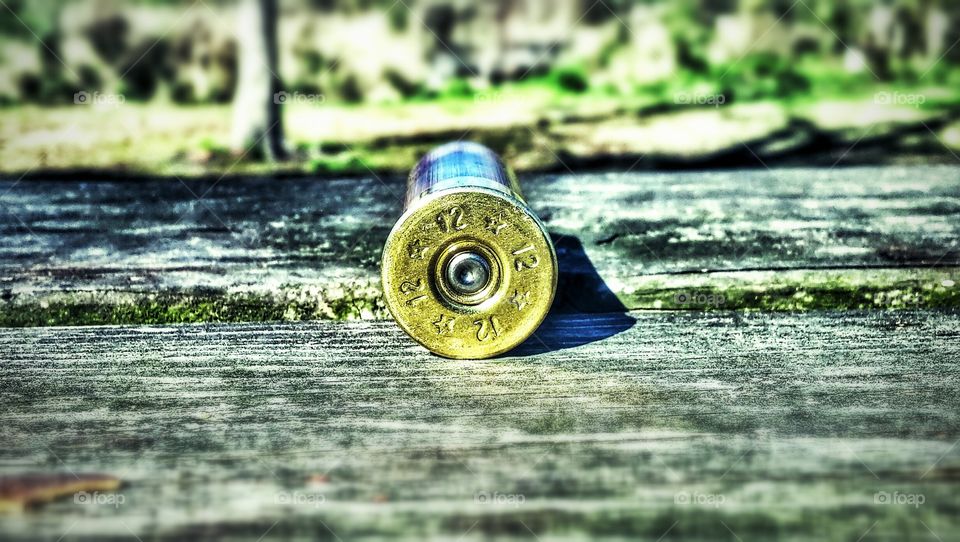 shot gun shell