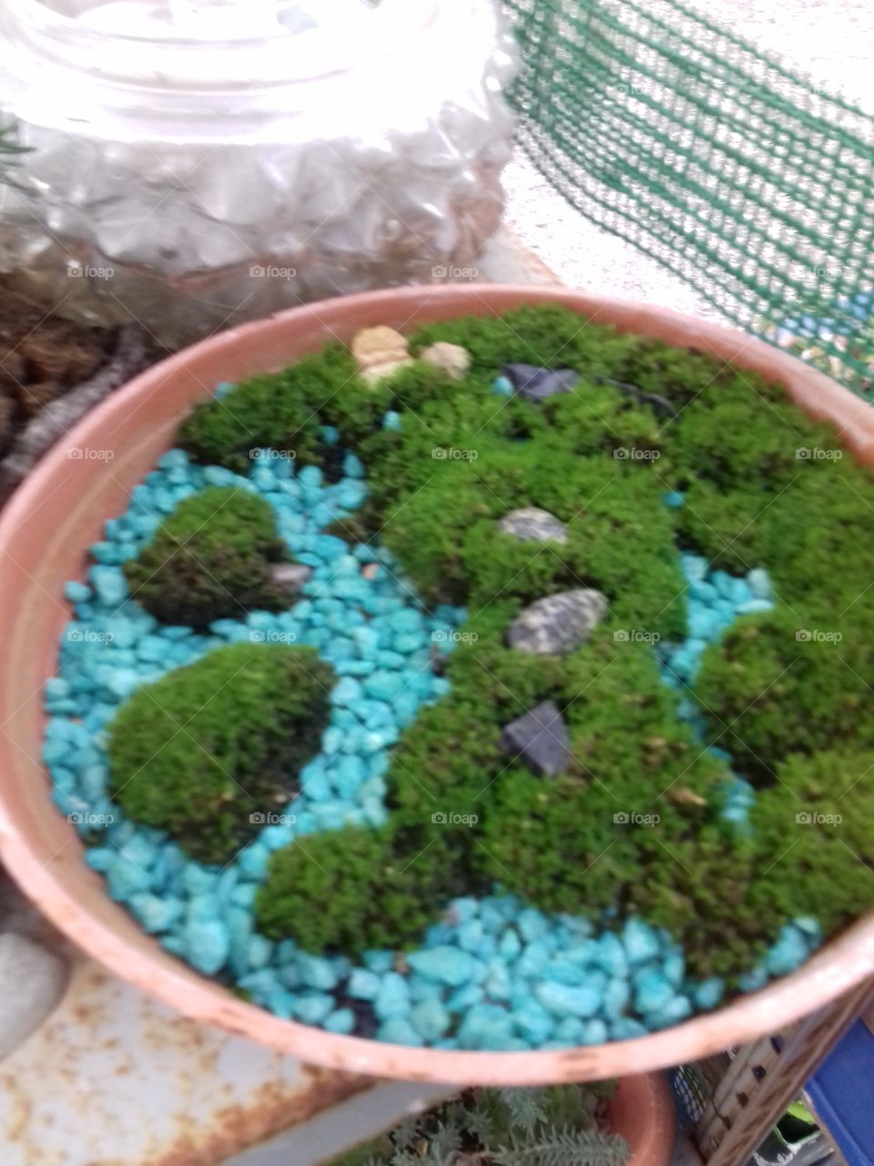 Italy is my country..I made it with moss