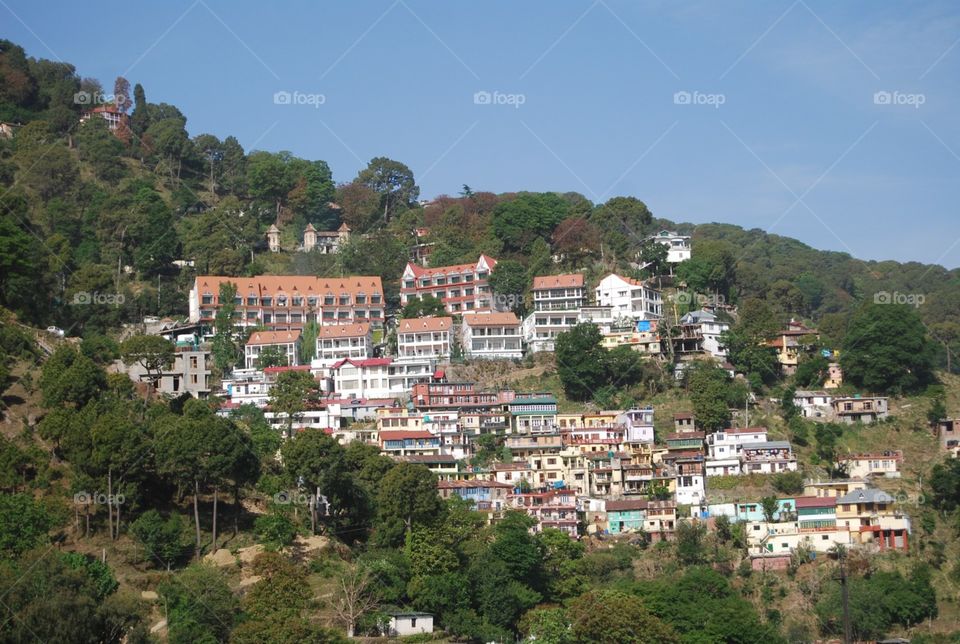 Kasauli