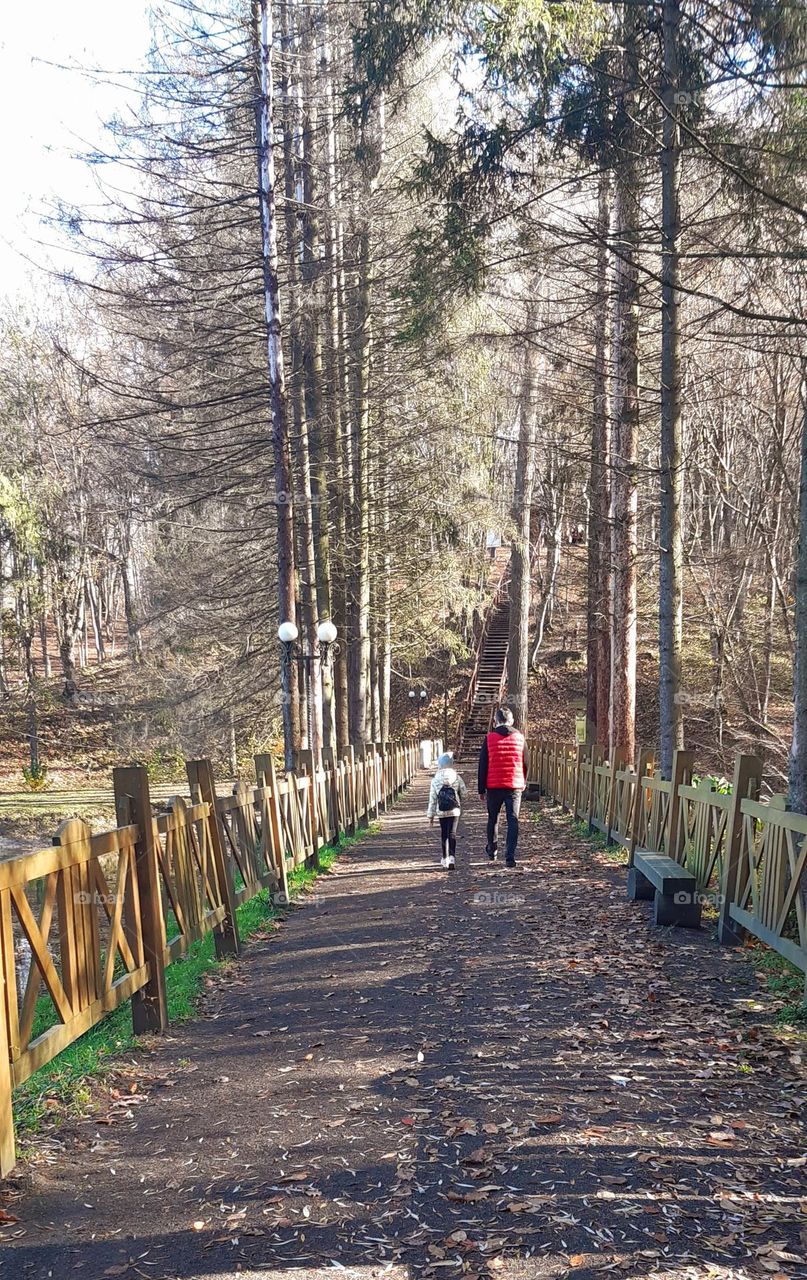 walking in the park and enjoying autumn days