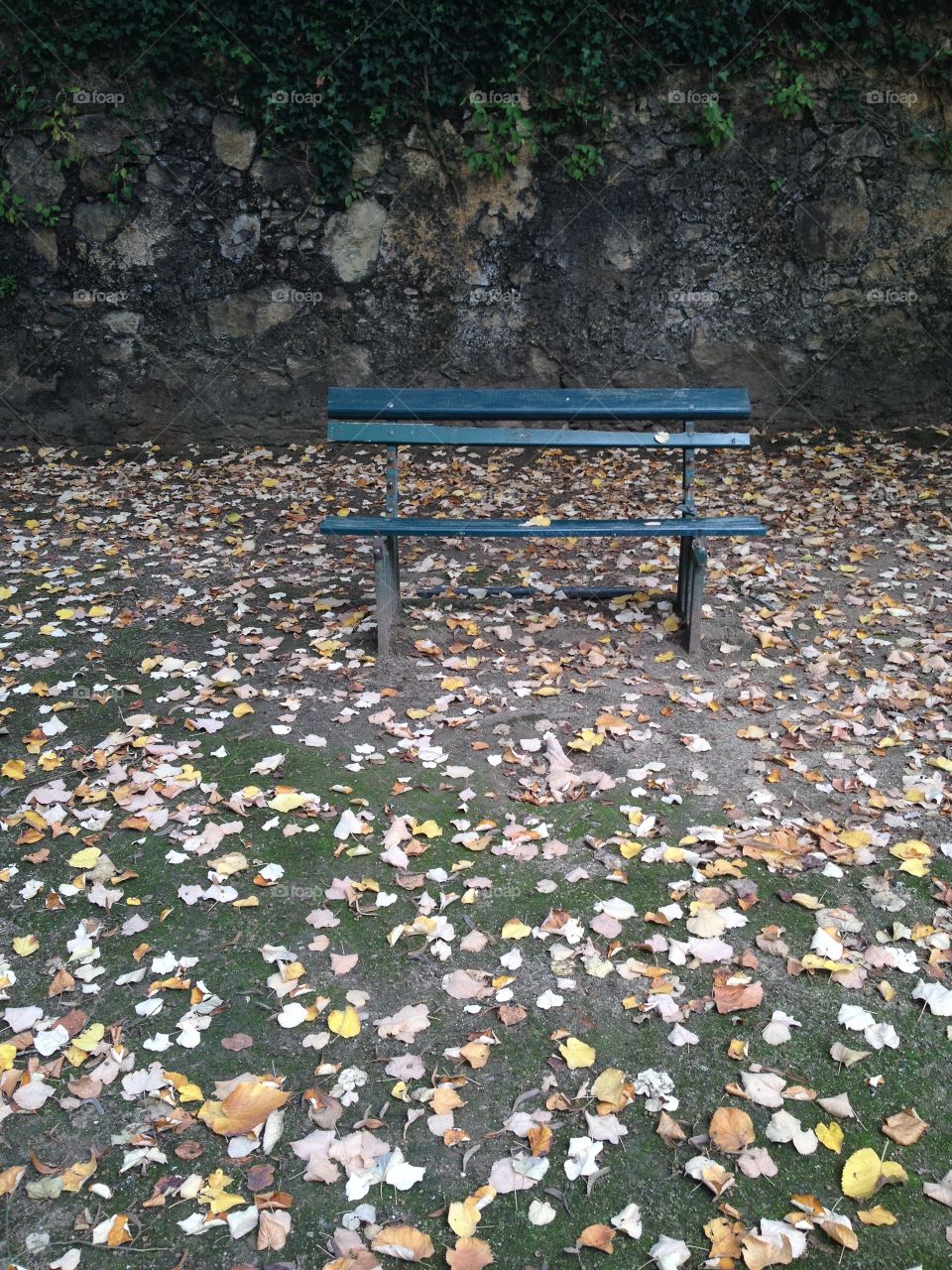Lonely bench surrounded with autumn leaves 
