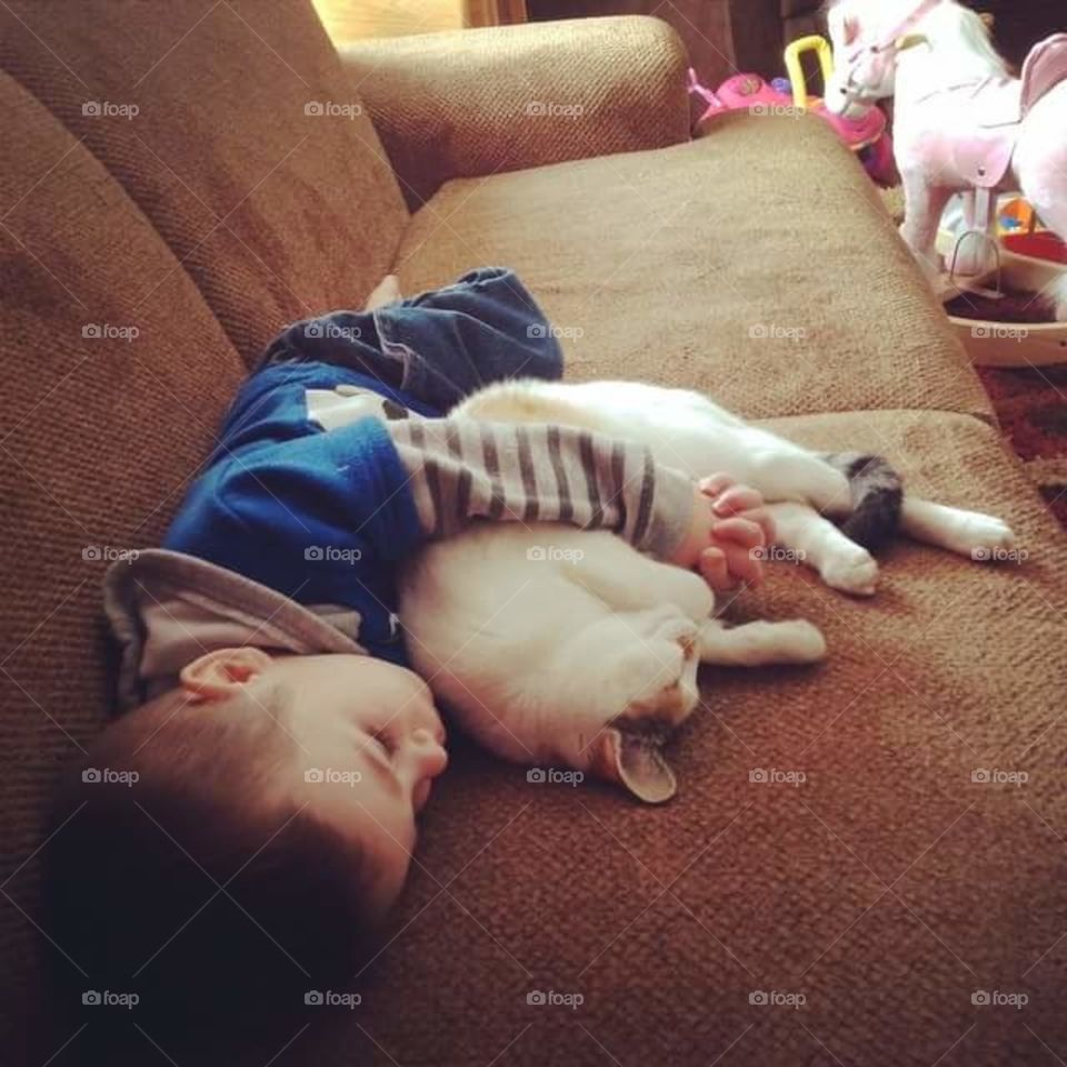 Boy and His Cat #3