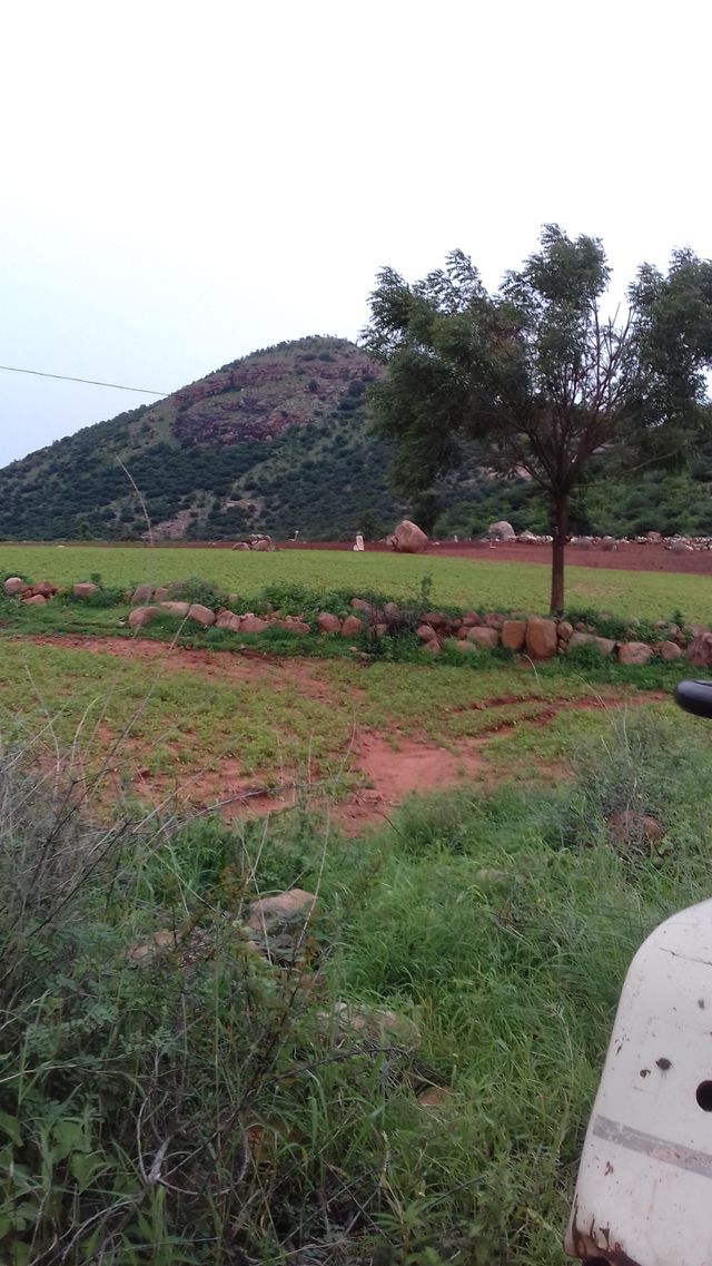 nature is my best friend