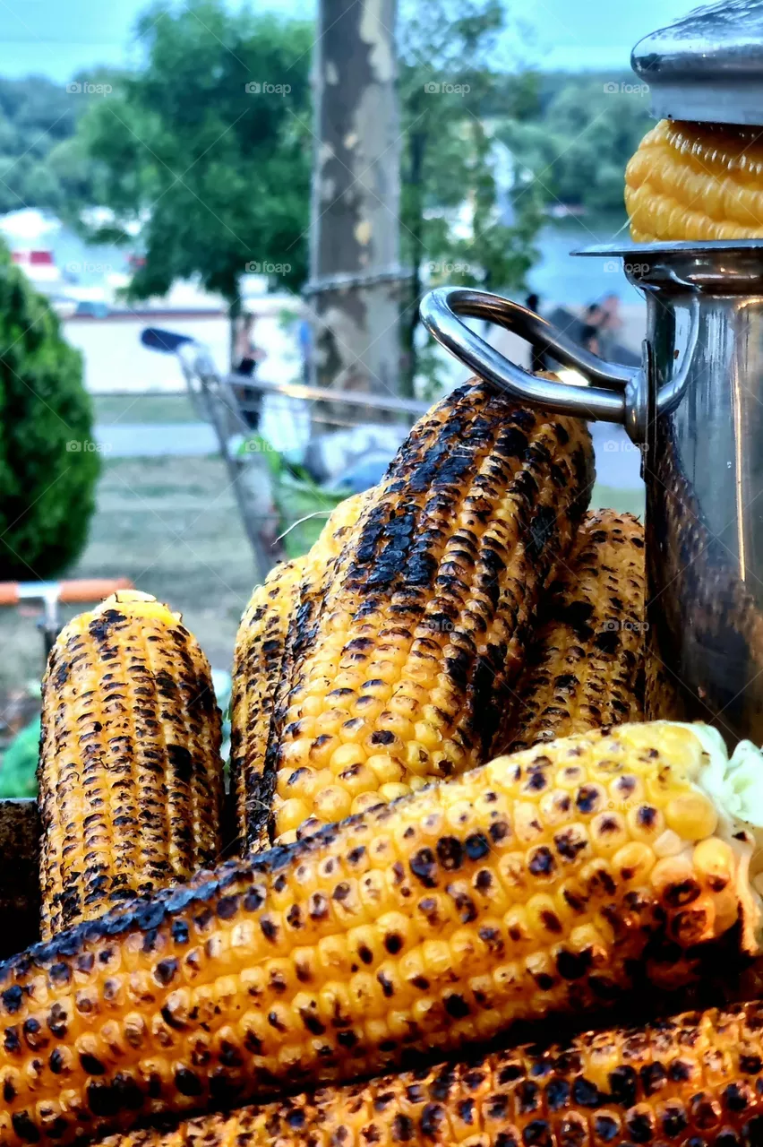 everybody loves corn