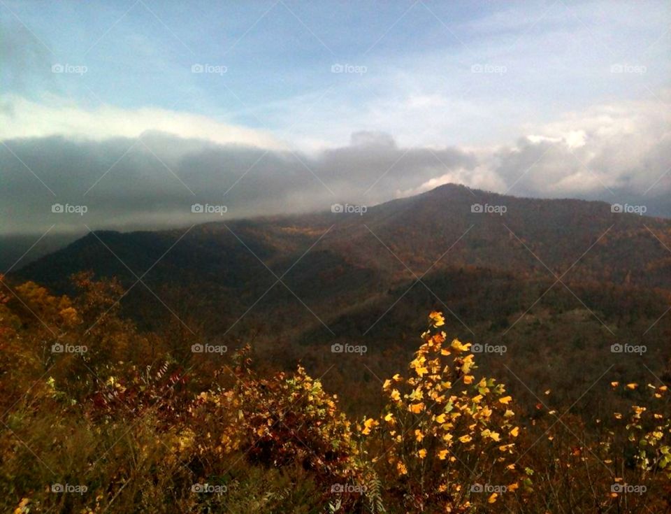 Smokey Mountain Autumn 