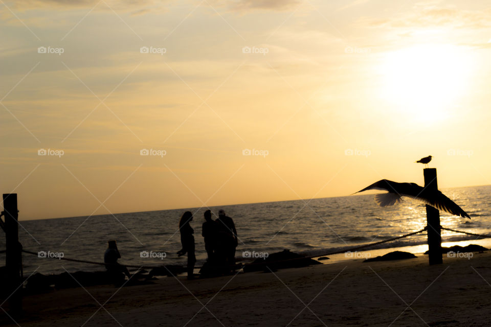 fun on the beach. friends having fun on the beach