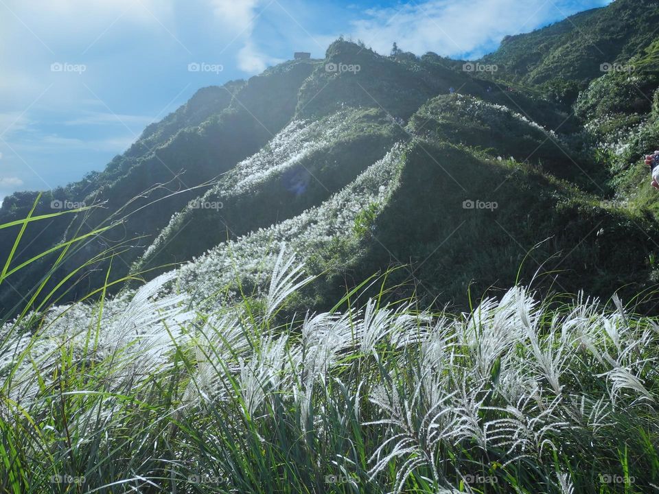 Beautiful mountain scenery