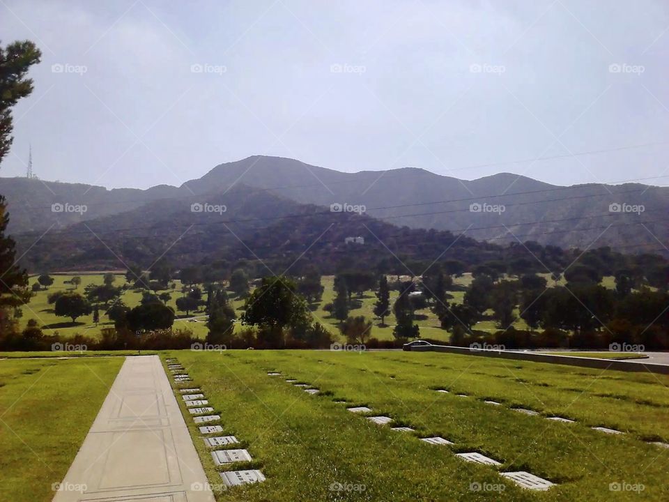 Forest Lawn Hollywood Hills cemetery.