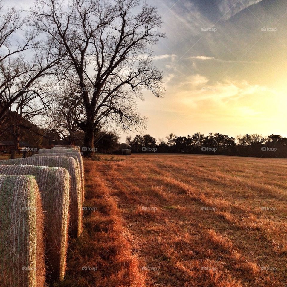 Sunset on the Hay