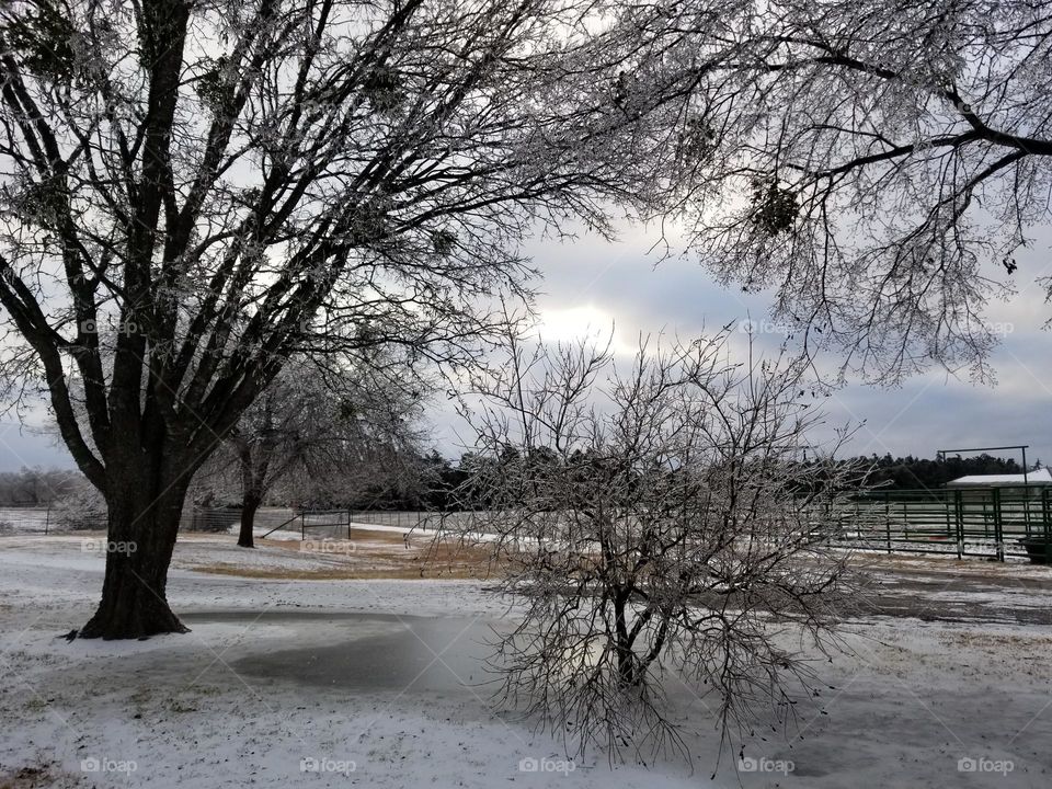 Icy Winter Landscape