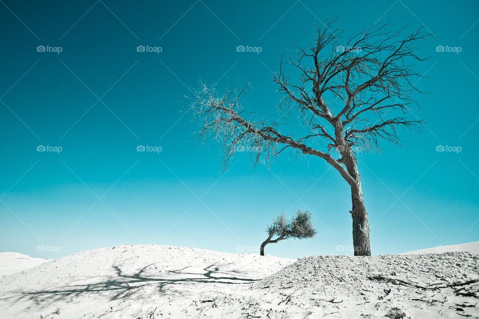 Desert landscape in UAE