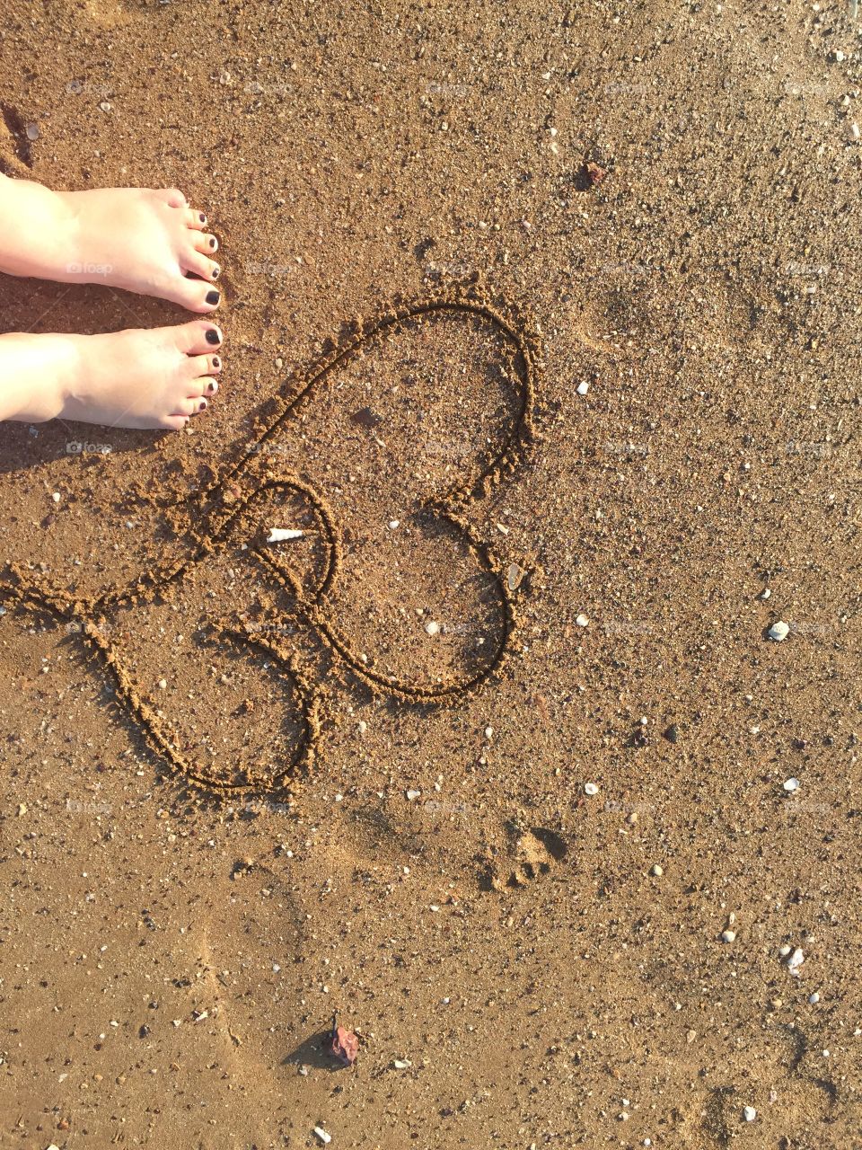 Pair of hearts ♥️ 