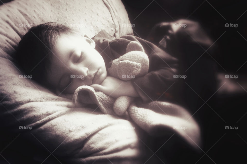 sleeping black and white tired teddy by michaelciurleo
