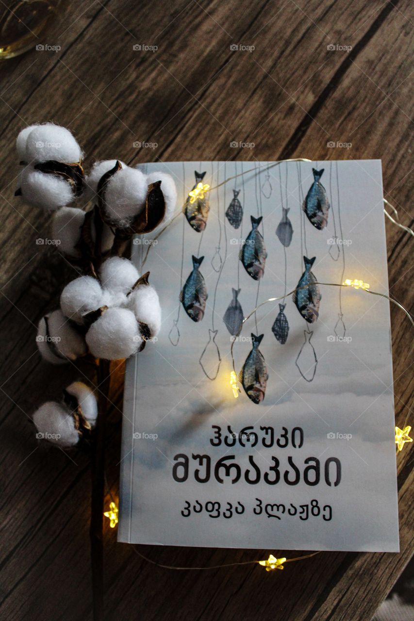 Haruki Murakami- Kafka on the shore.