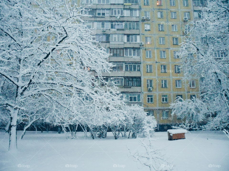 winter in the city of Kiev