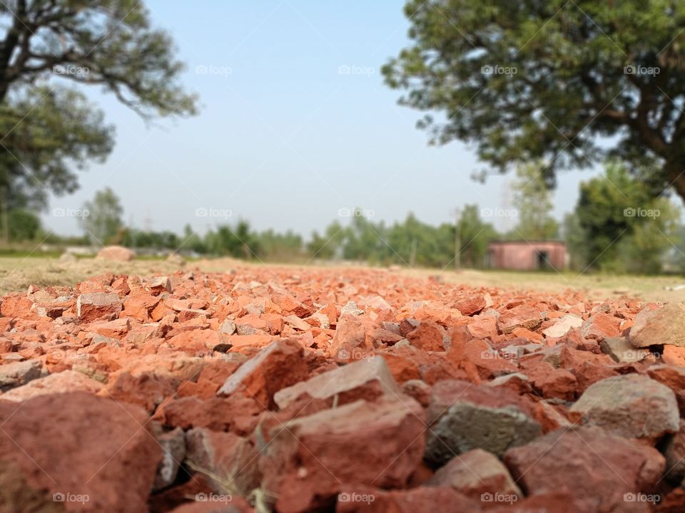 editors' choice: photo of the week