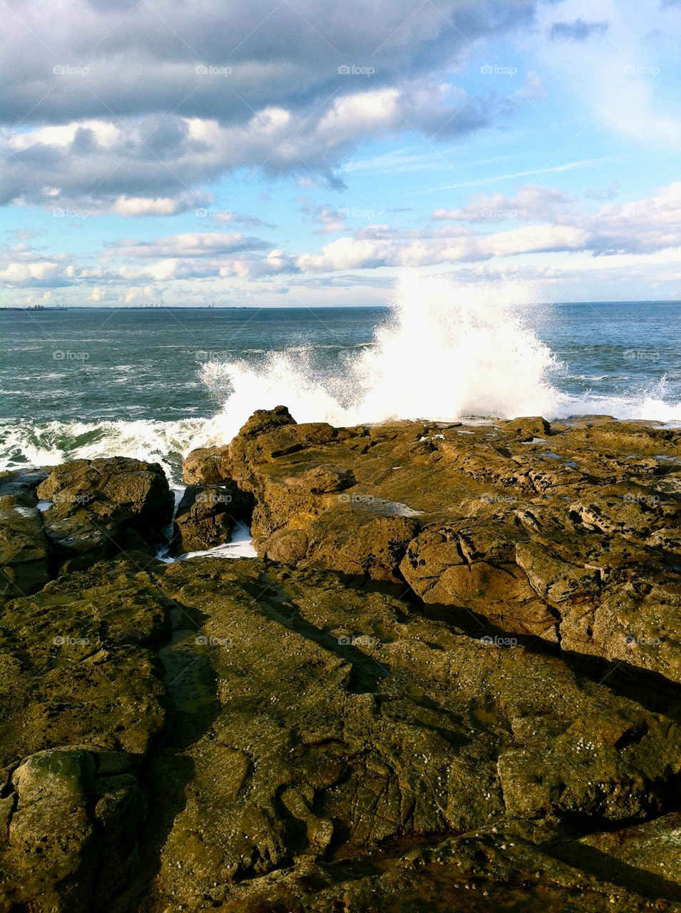 beach water sea rocks by taro20
