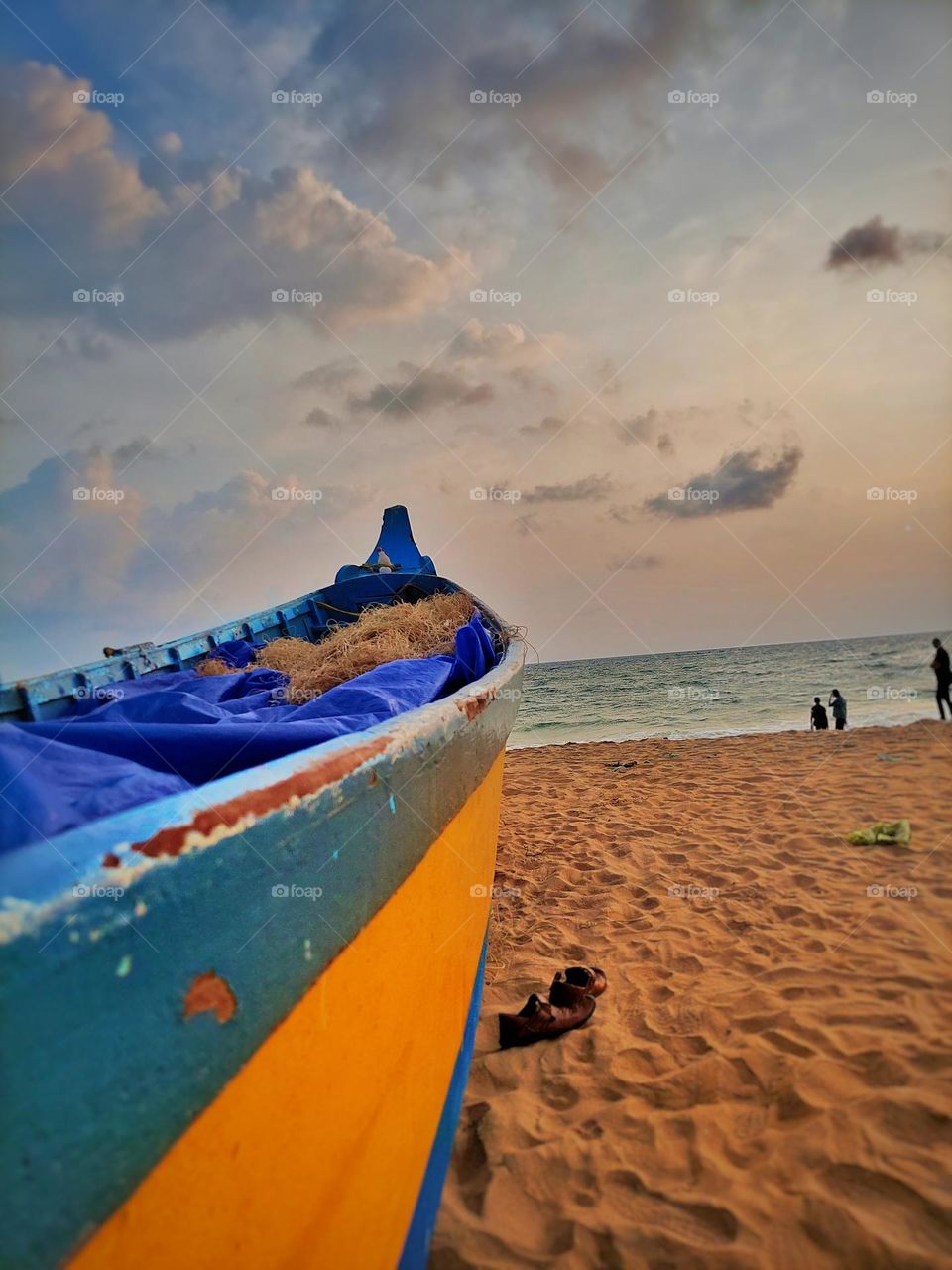 evening beach fish bot view