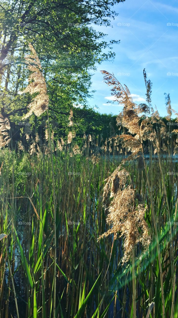 Nature, No Person, Landscape, Water, Outdoors