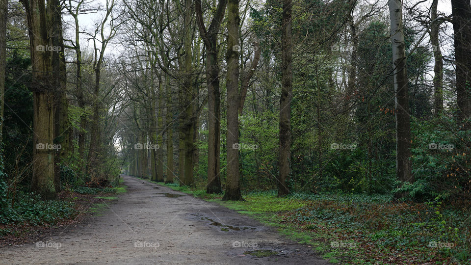 Nature around the city of Antwerp, Belgium.