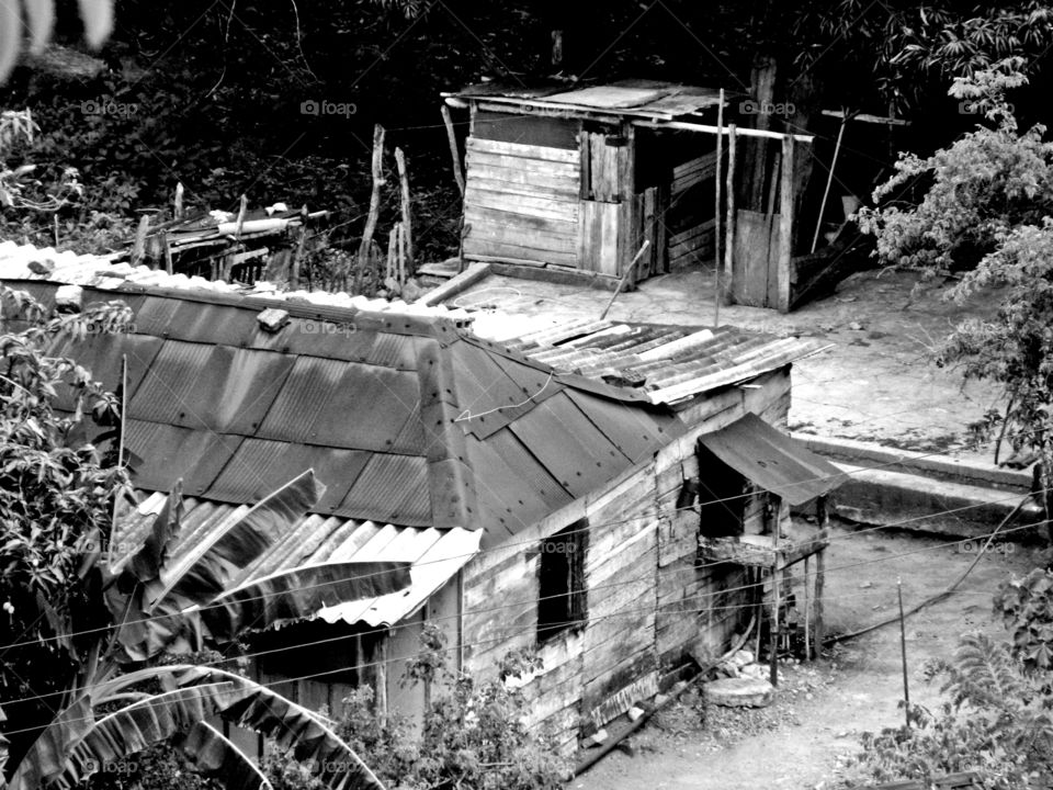 Cities and countrysides - Foap Missions - A typical Cuban home in the Sierra Maestra mountains surrounded by banana and palm trees