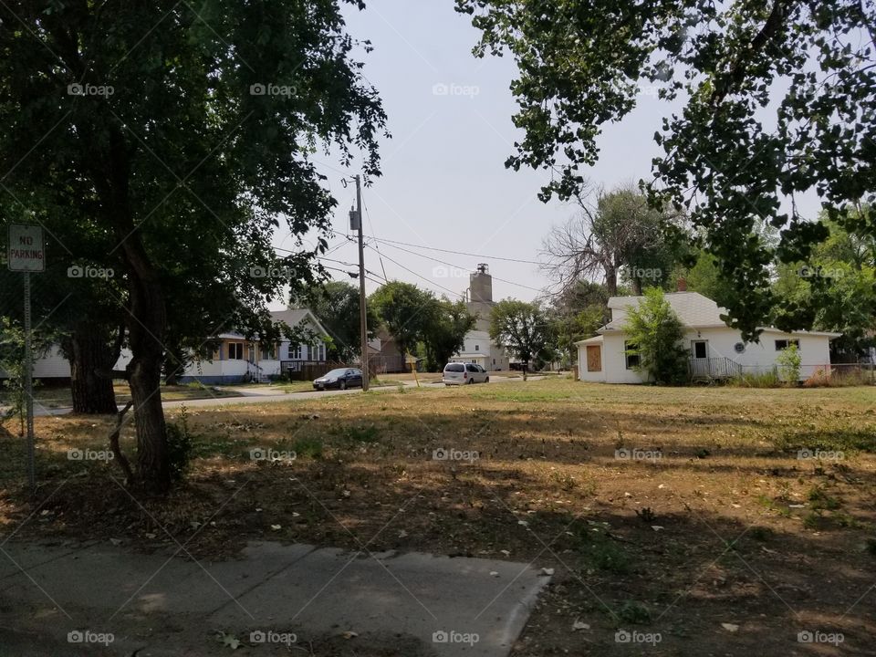 Tree, No Person, Home, Landscape, Grass