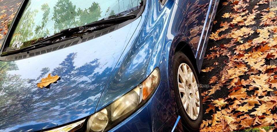 close up view of blue car surrounded by fallen leaves and the shadows of trees on an Autumn afternoon in Oregon