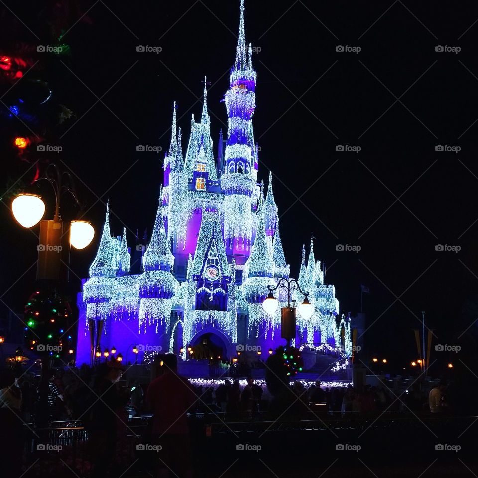 Disney World Castle at Christmas