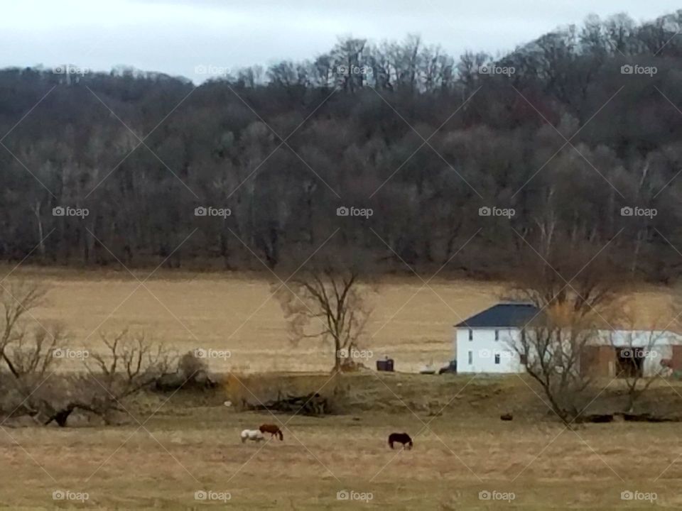 Driving the  back Roads enjoying everything around us