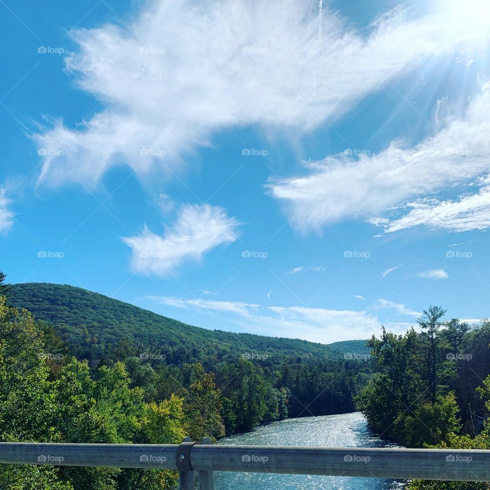 A view above the trees 