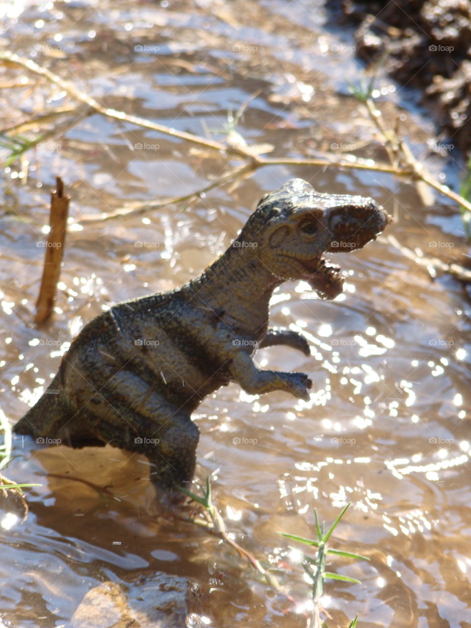 Toy Dino in the water 