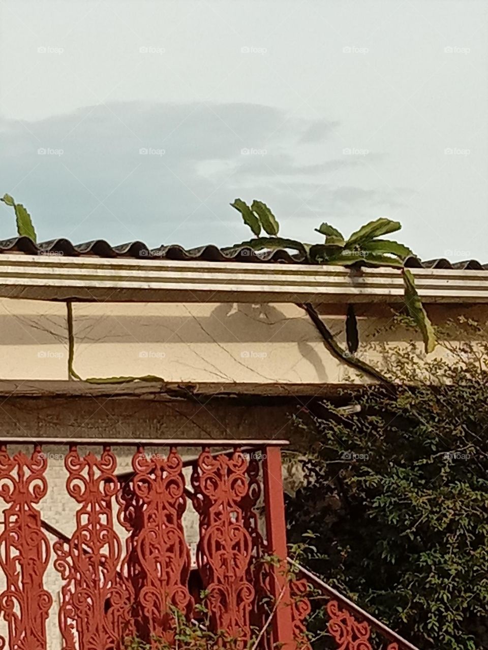 beyond the imaginary