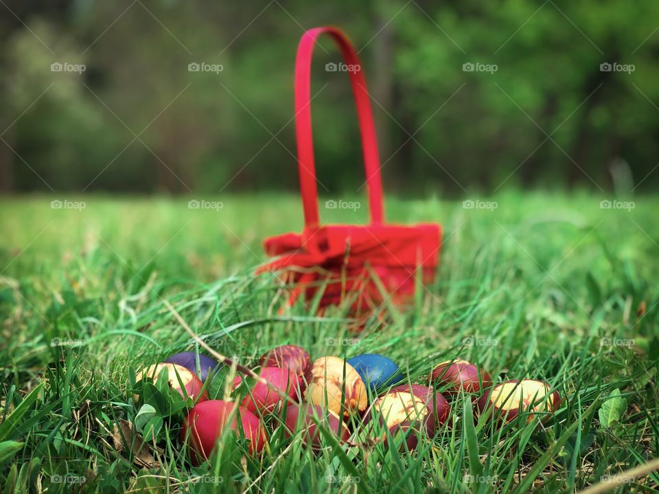 Easter egg hunt