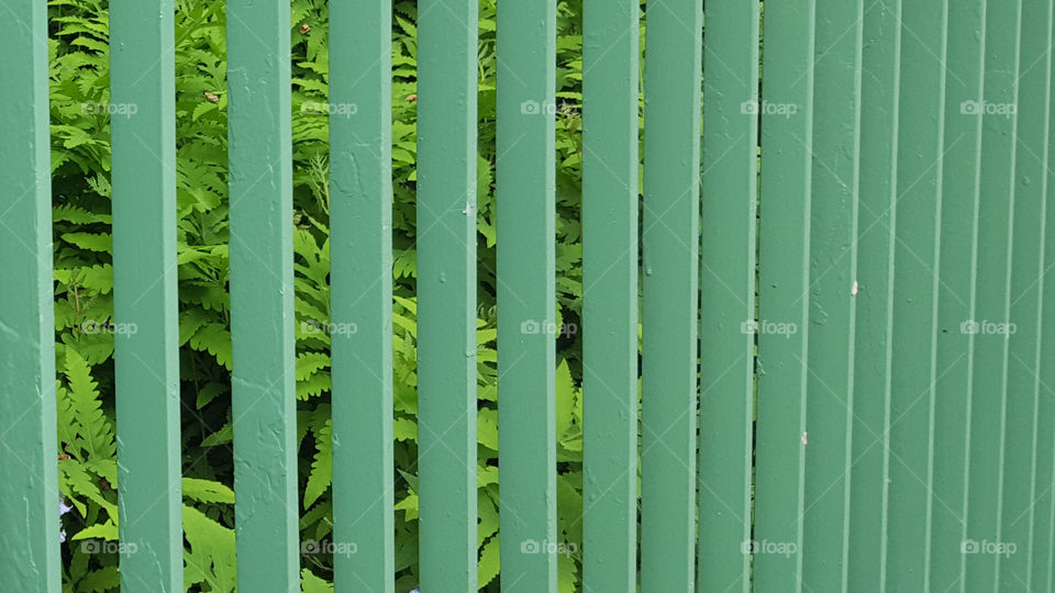 Green fence 