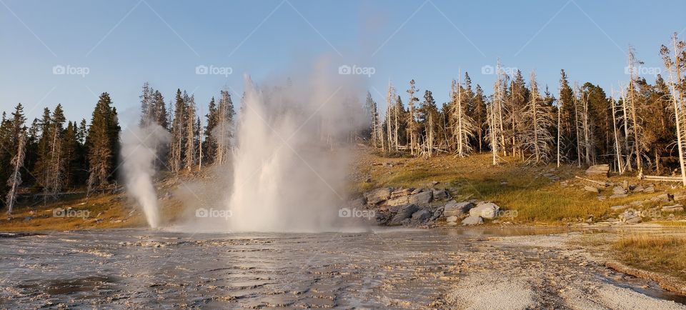 One of the many geysers spewing hot water into the air at Yellowstone National Park.